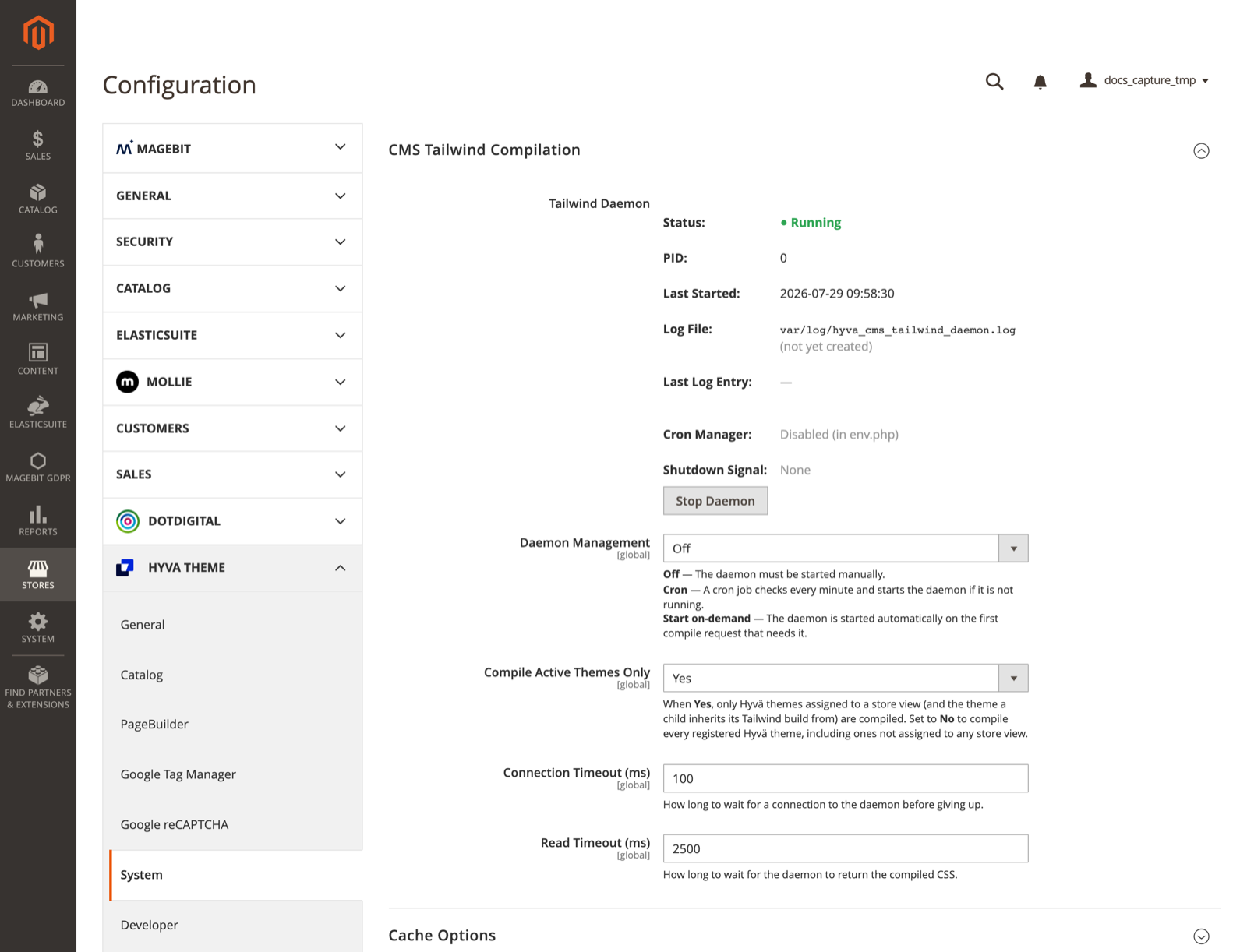 Daemon status and management under Hyva Themes System configuration